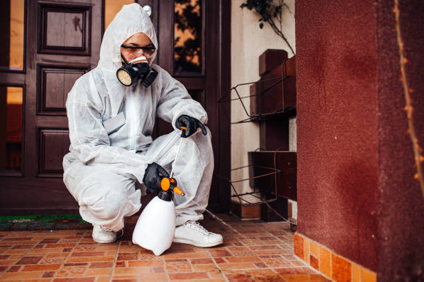 Reliable Ant Control contractor in Chapin, SC by Show Me Pest Control